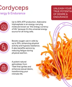 Cordyceps Pilzkaffee