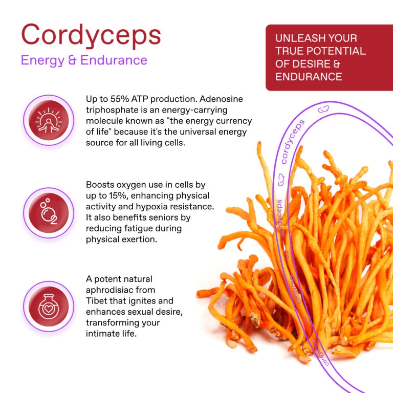 Cordyceps Pilzkaffee