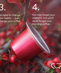 Cordyceps Pilzkaffee