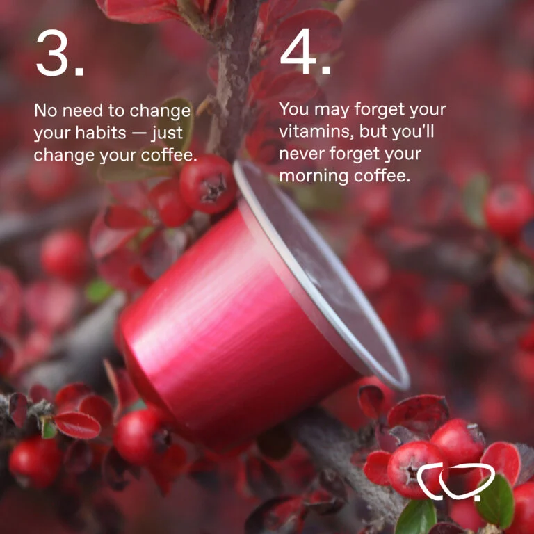 Cordyceps Pilzkaffee
