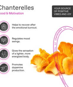 Chanterelle – THE JOY COFFEE PODS
