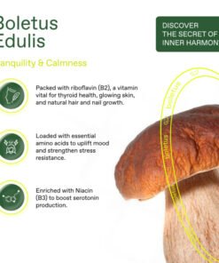 Boletus Edulis Pilzkaffee