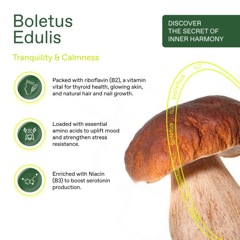 Boletus Edulis Pilzkaffee