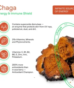 Chaga Pilzkaffee