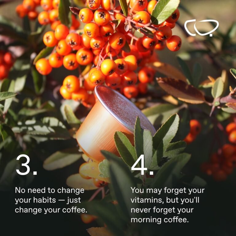 Chaga Pilzkaffee