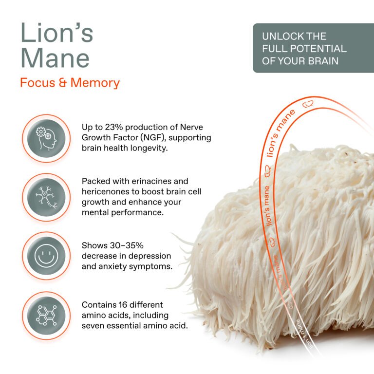 Lion's Mane Pilzkaffee